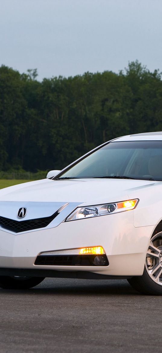 acura, tl, 2008, white, side view, style, cars, nature, trees, grass