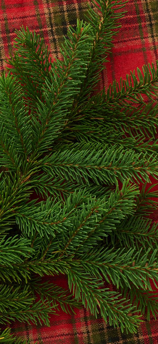 pine, branch, needles, plaid, christmas, new year