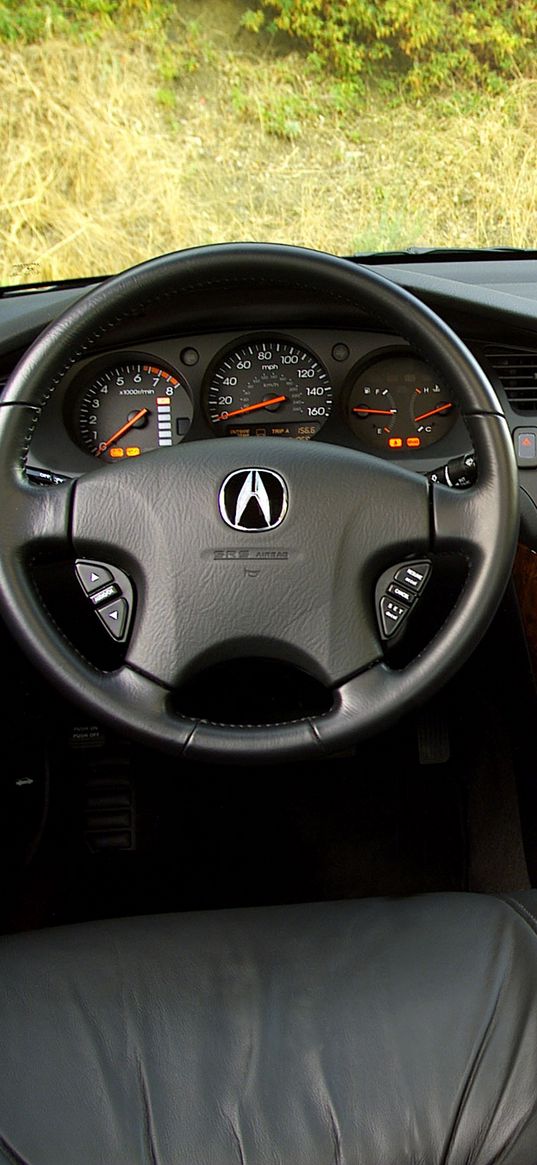 acura, tl, 2002, salon, interior, steering wheel, speedometer, grass