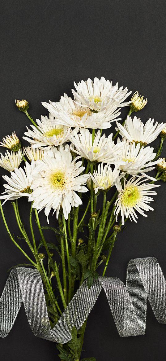 chrysanthemum, flowers, bouquet, ribbon, white