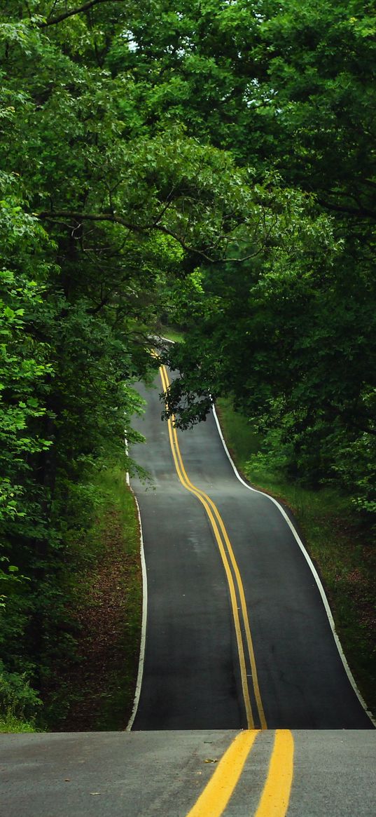 road, trees, asphalt, hills, relief