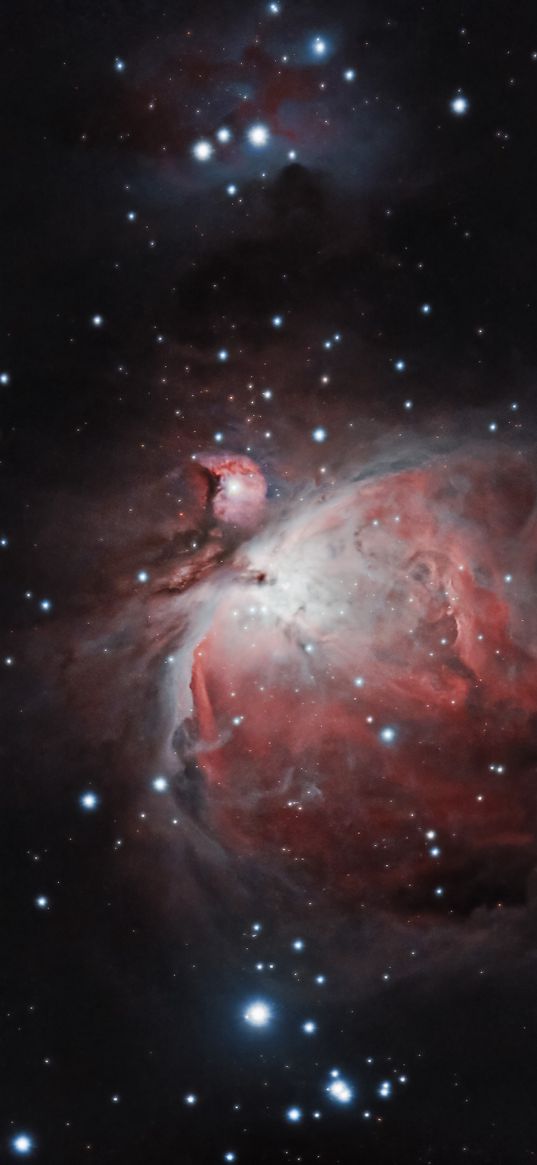 orion nebula, nebula, galaxy, space, stars