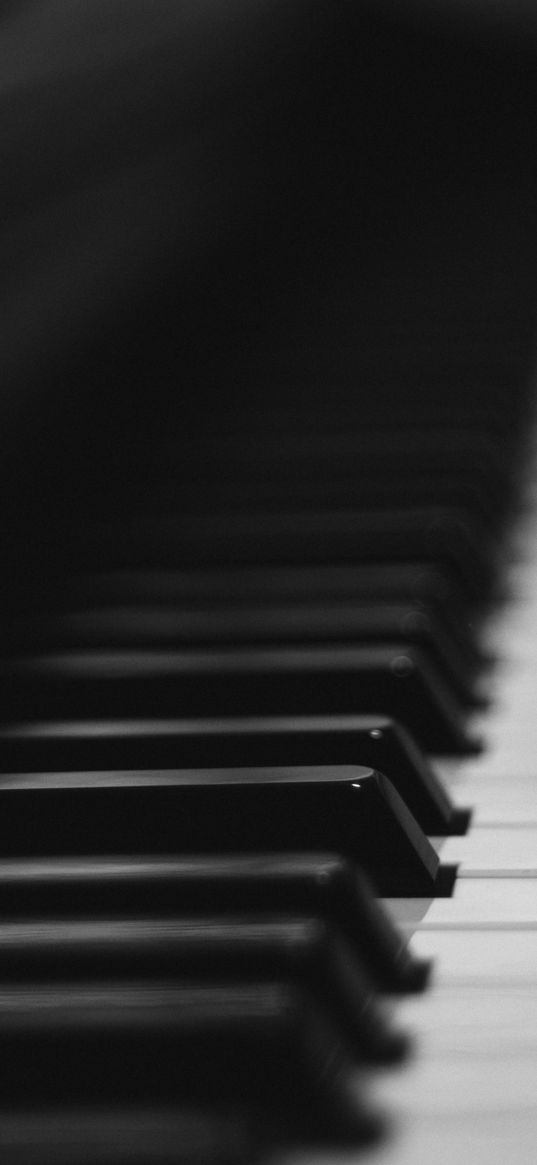 piano, keys, musical instrument, bw, music