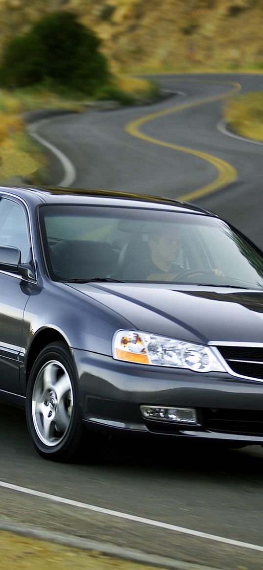 acura, tl, 2002, blue, front view, style, cars, nature, shrubs, grass, trees, highway