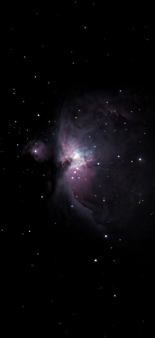 orion nebula, galaxy, nebula, stars, space, dark