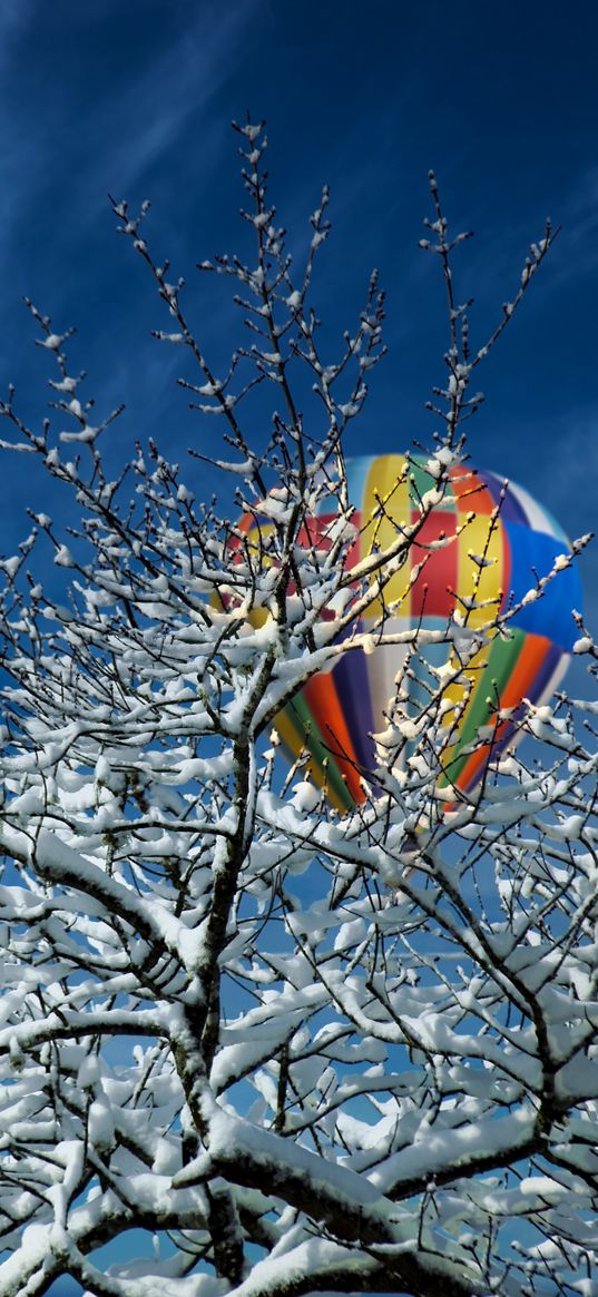 tree, snow, air balloon, winter