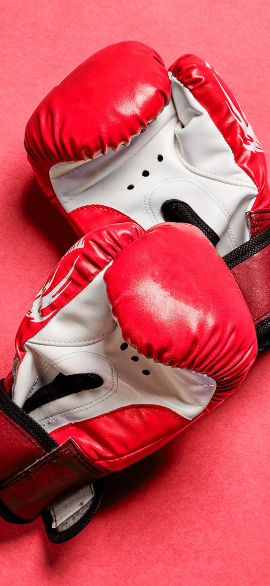 boxing gloves, gloves, boxing, red, sport