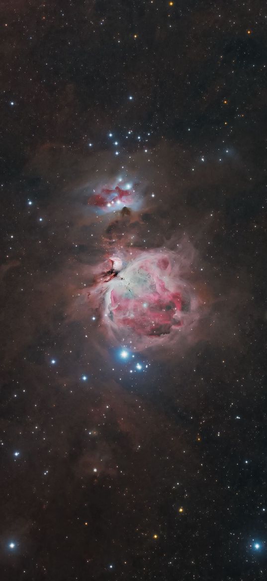 orion nebula, nebula, stars, galaxy, space