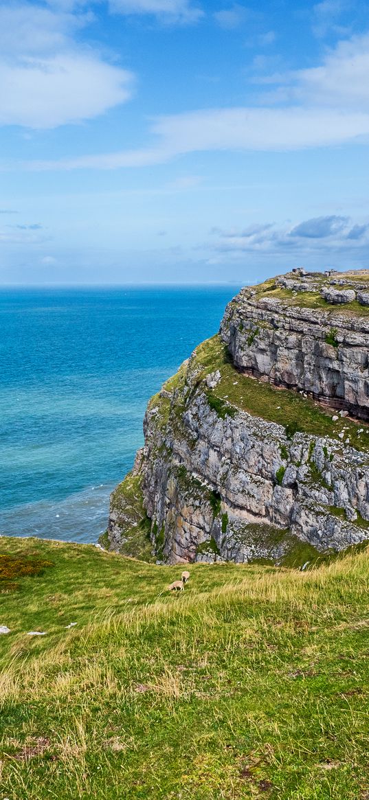 cliff, coast, sea, landscape, nature, view