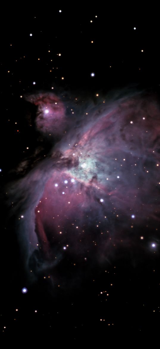 orion nebula, galaxy, nebula, space, stars