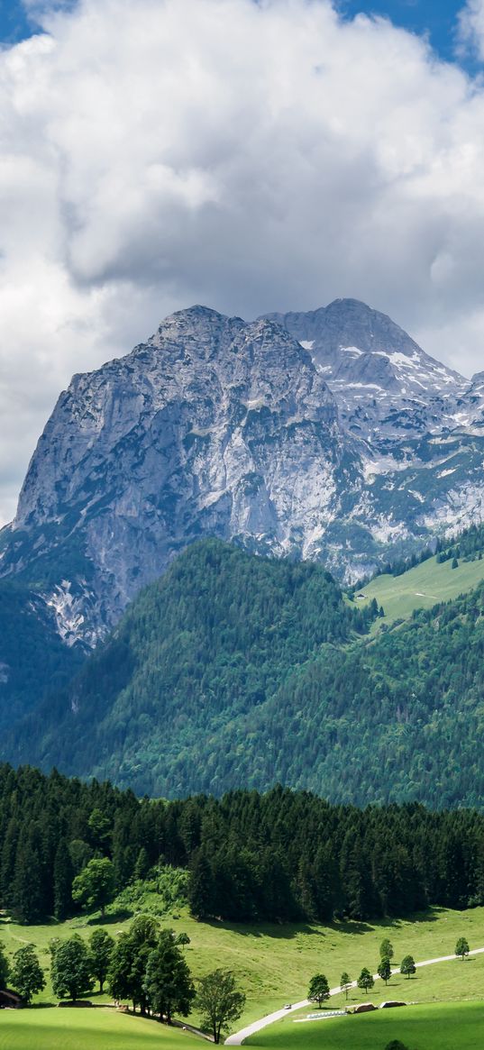 mountains, slope, forest, alps, landscape