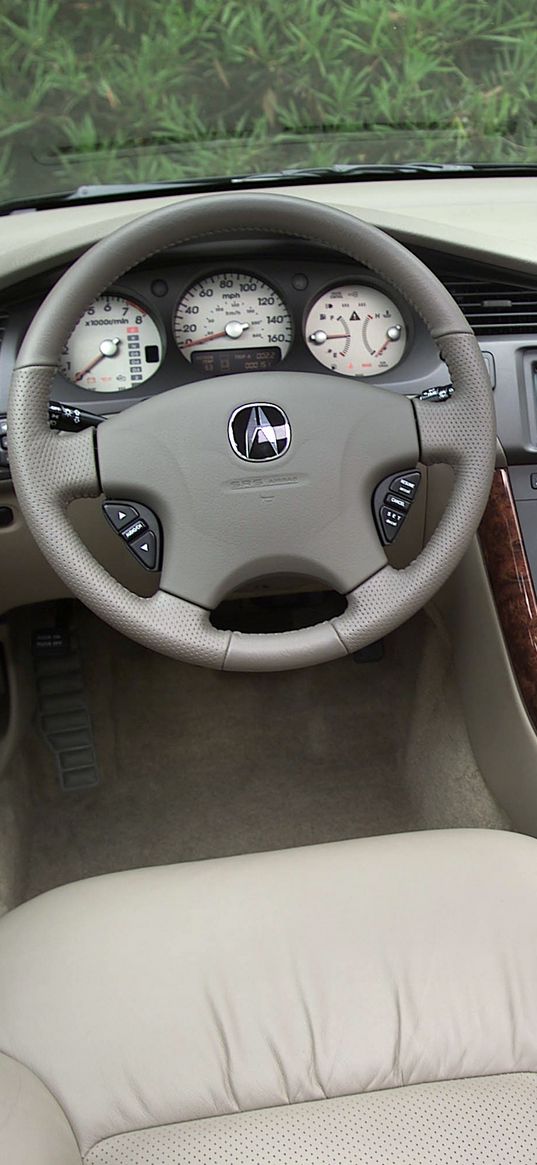 acura, tl, 2002, interior, salon, steering wheel, speedometer