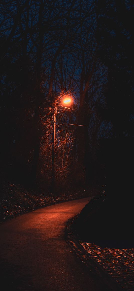 path, lantern, night, dark