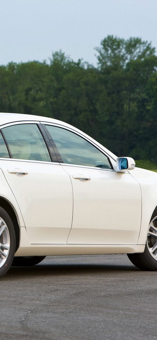 acura, tl, 2008, white, side view, style, cars, trees, grass