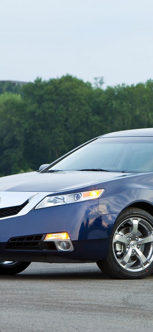 acura, tl, 2008, blue, side view, style, cars, nature, sky, grass, trees