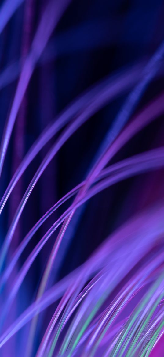 fiber, backlight, macro, purple