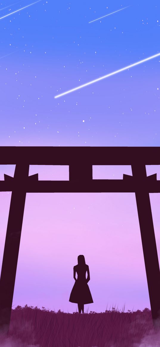 torii gate, girl, silhouette, clouds, stars, art