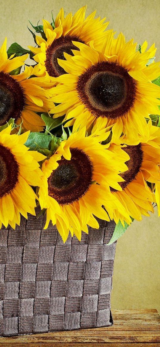 sunflowers, shopping, wall, table, leaves