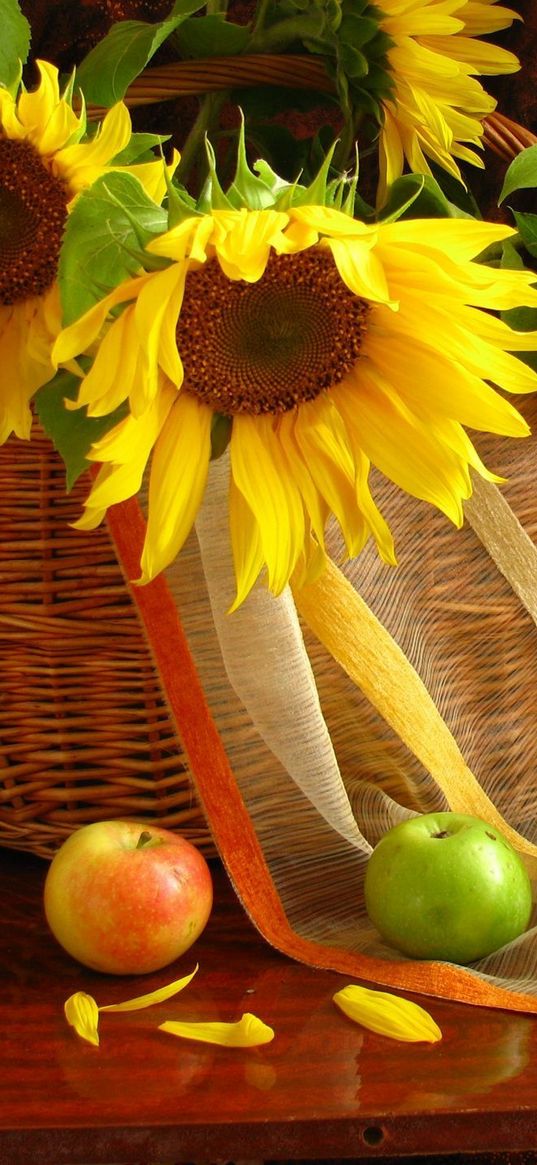 sunflowers, shopping, leaves, apples, table, curtains, still life