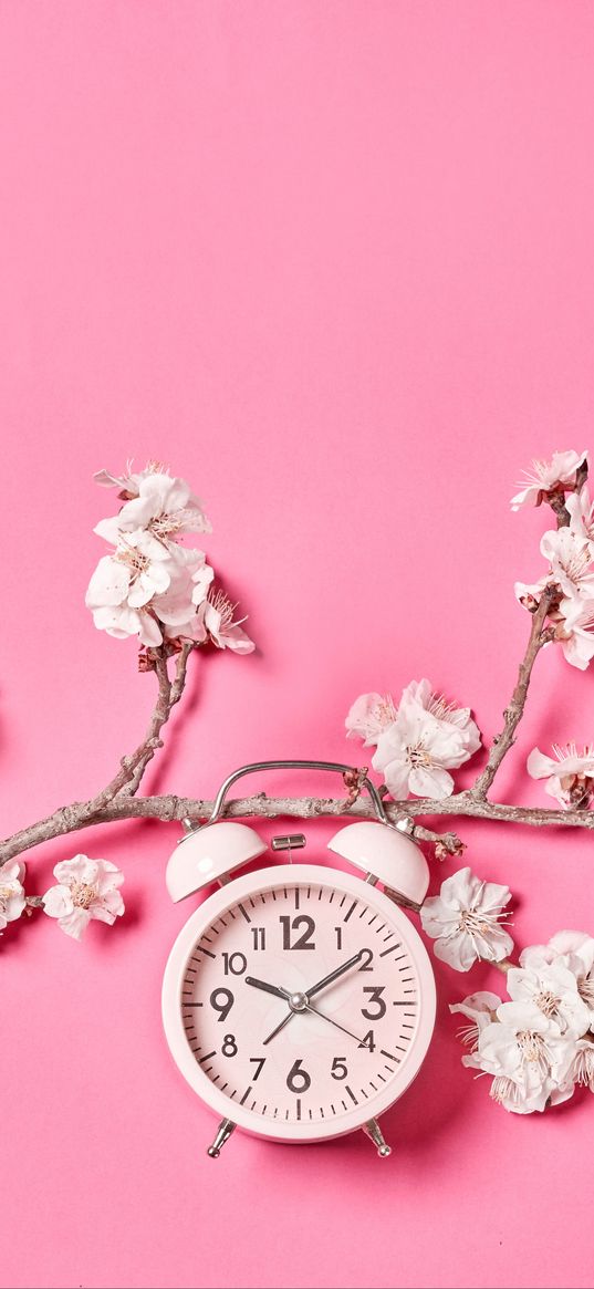 sakura, flowers, clock, alarm clock, minimalism, pink