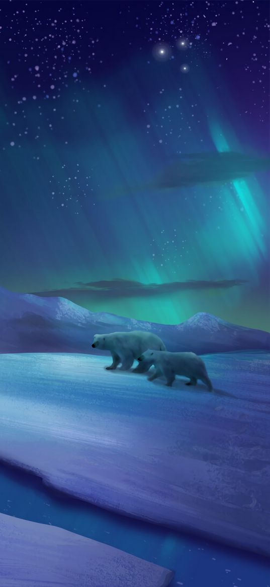 northern lights, polar bears, bears, ice, cranny, art