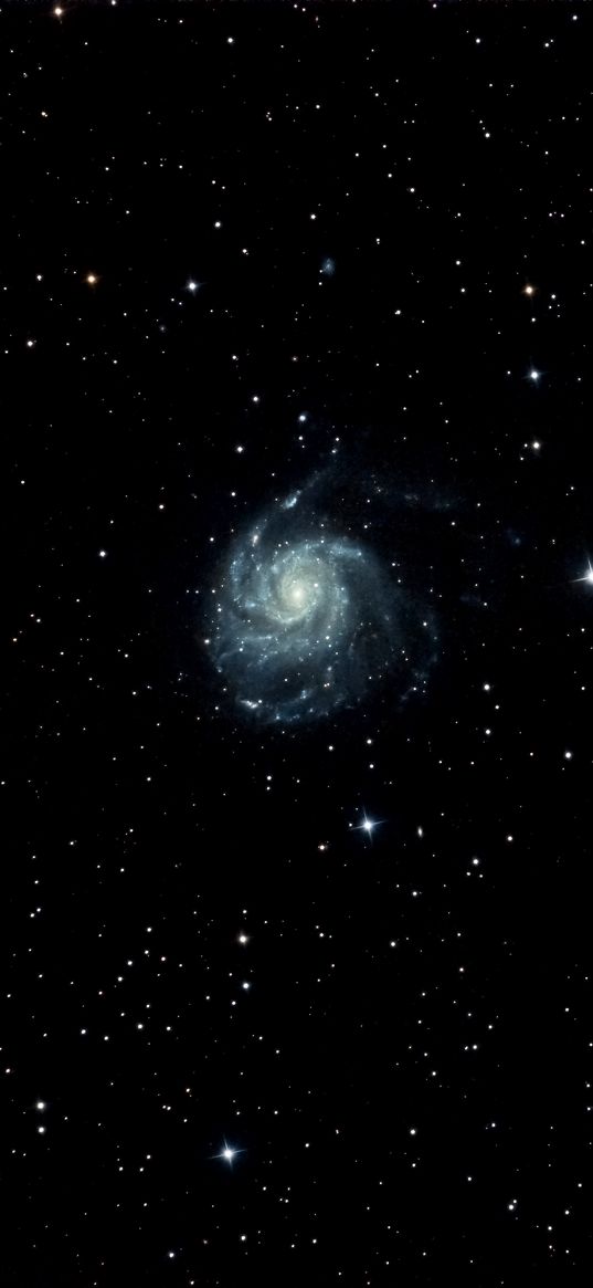 pinwheel galaxy, galaxy, stars, space