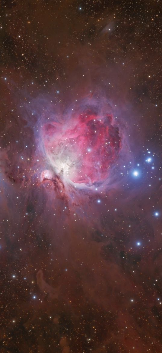 orion nebula, nebula, stars, glare, space