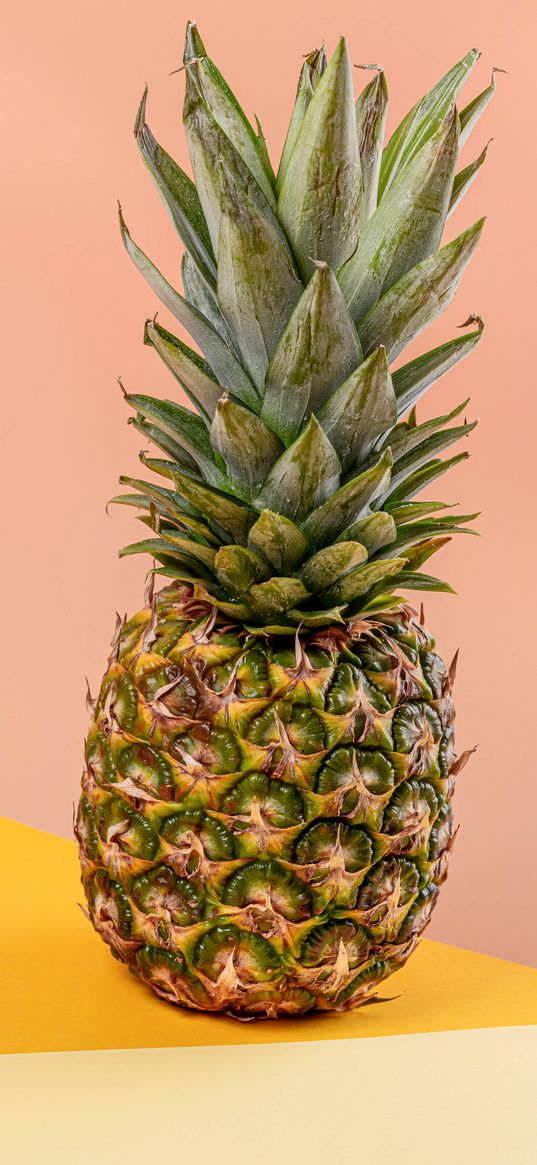 pineapple, fruit, leaves, minimalism