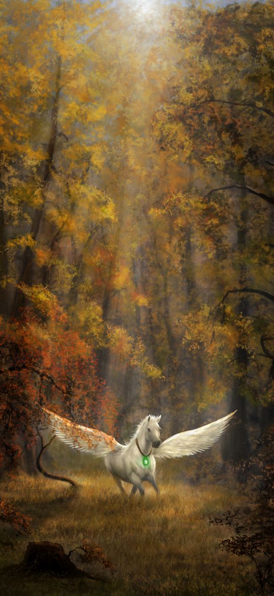 pegasus, horse, wings, forest, fantasy, art