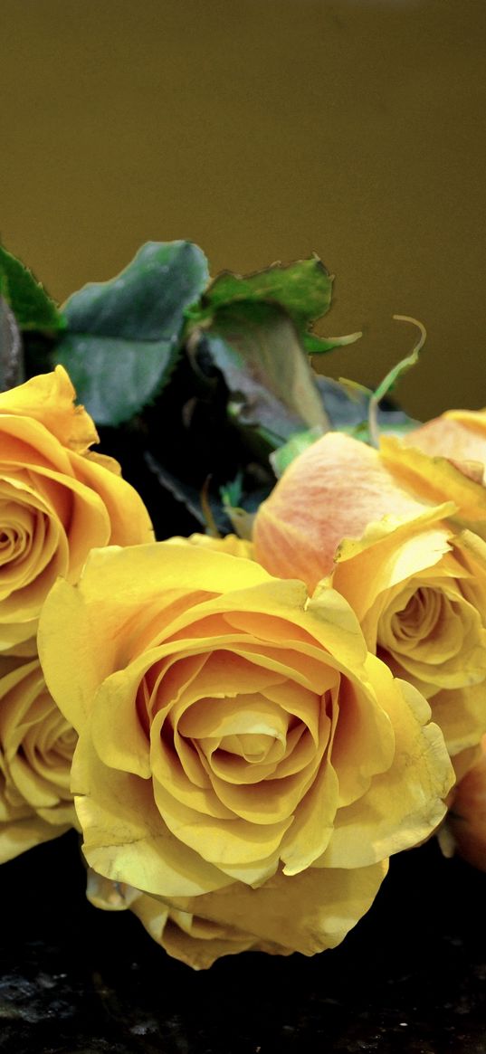 roses, flowers, vase, surface, leaves, yellow