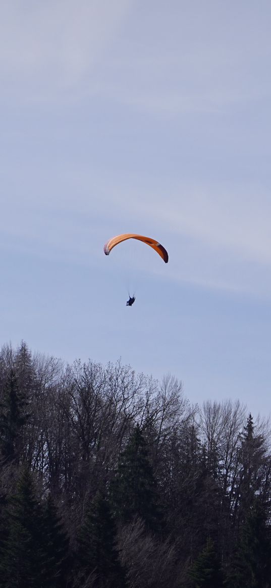 parachute, parachutist, trees, sky