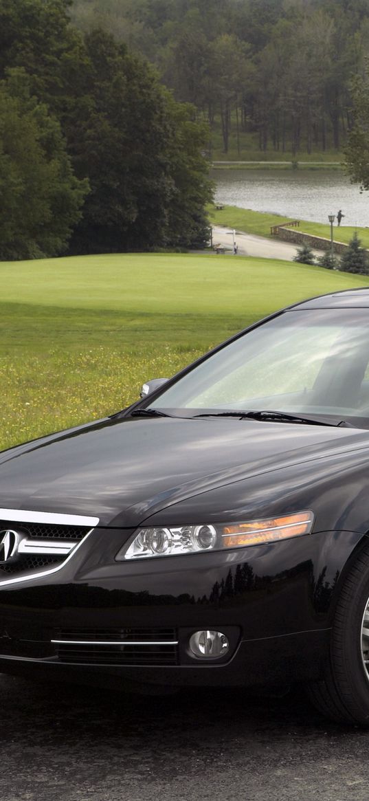 acura, tl, 2007, black, side view, style, cars, nature, trees, lawn, water