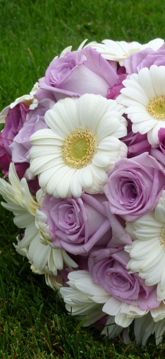 roses, gerbera, flower, bouquet, grass, leaves