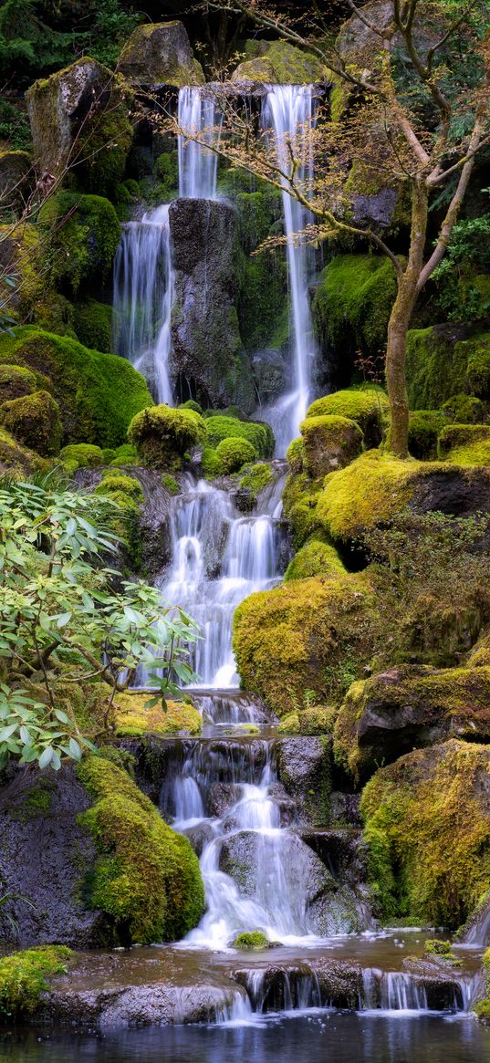 waterfall, water, stones, moss, trees, nature