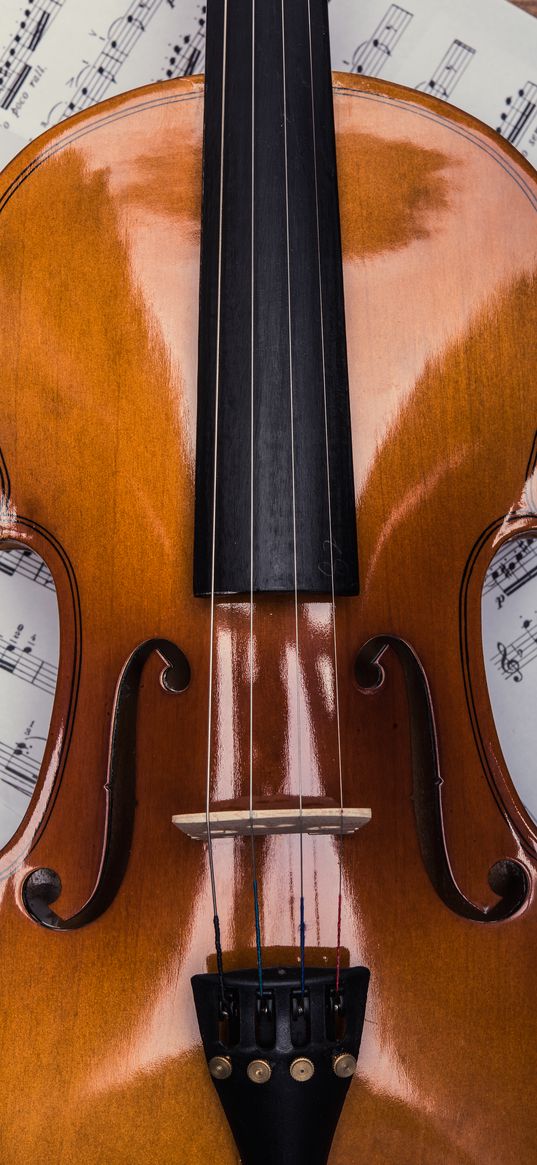 violin, sheet music, musical instrument, music