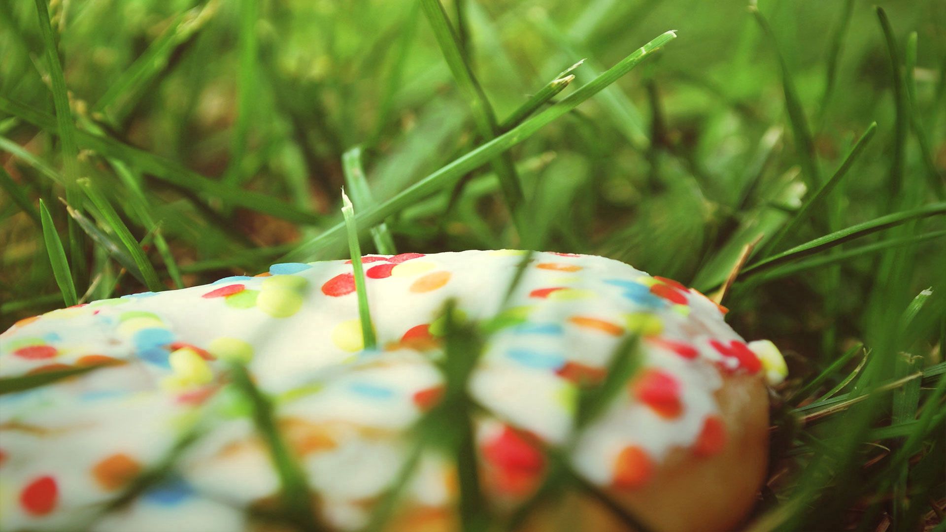 donut, sweet, grass, batch