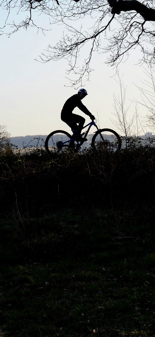 bike, cyclist, silhouette, riding, sport, trees, dark