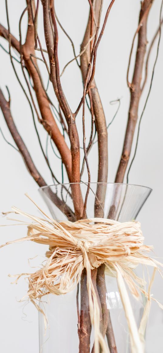 branches, bouquet, vase, decor, aesthetics, light