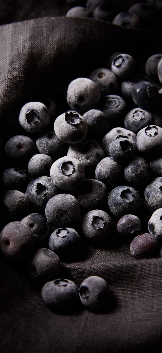 blueberries, berries, frost, cold