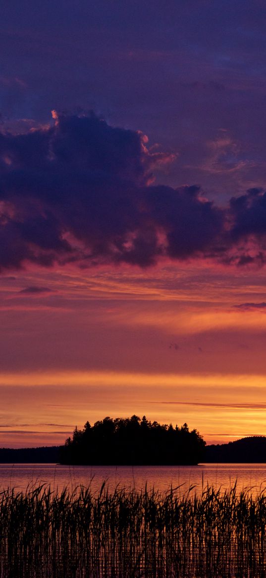 lake, reeds, glow, sunset, dark