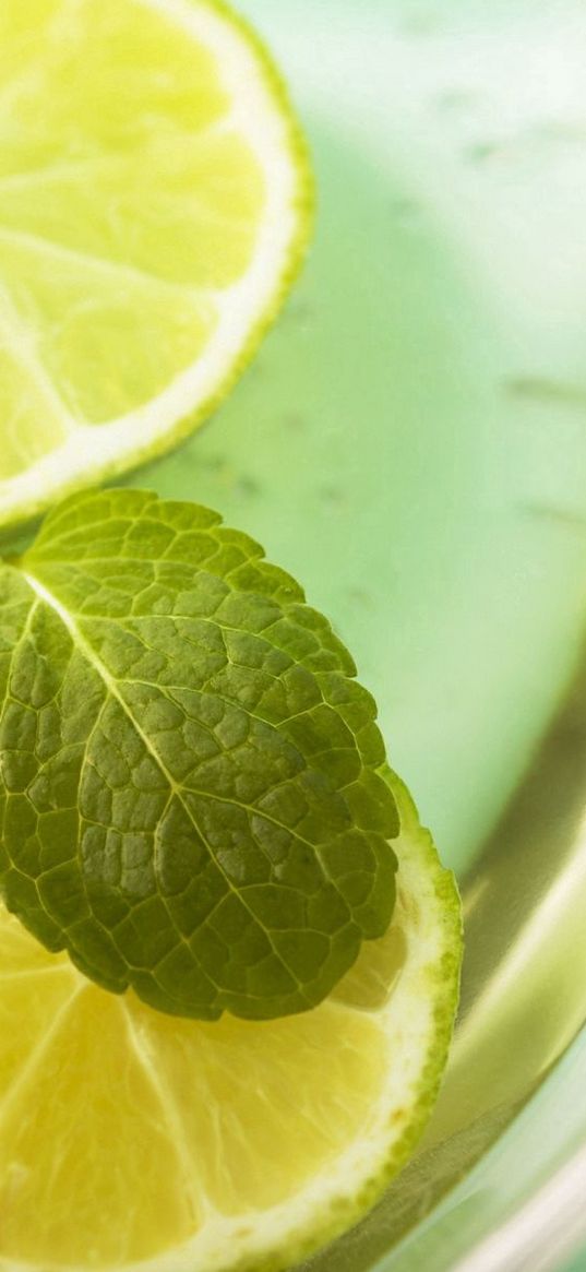 lemonade, lemon, mint, segments, leaves