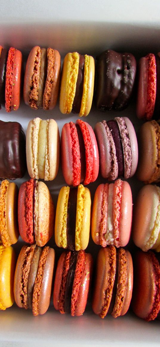 macarons, cookies, cream, colorful, dessert