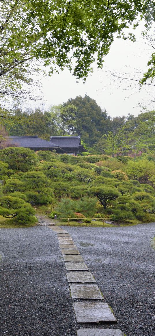 garden, paths, bushes, trees, greenery