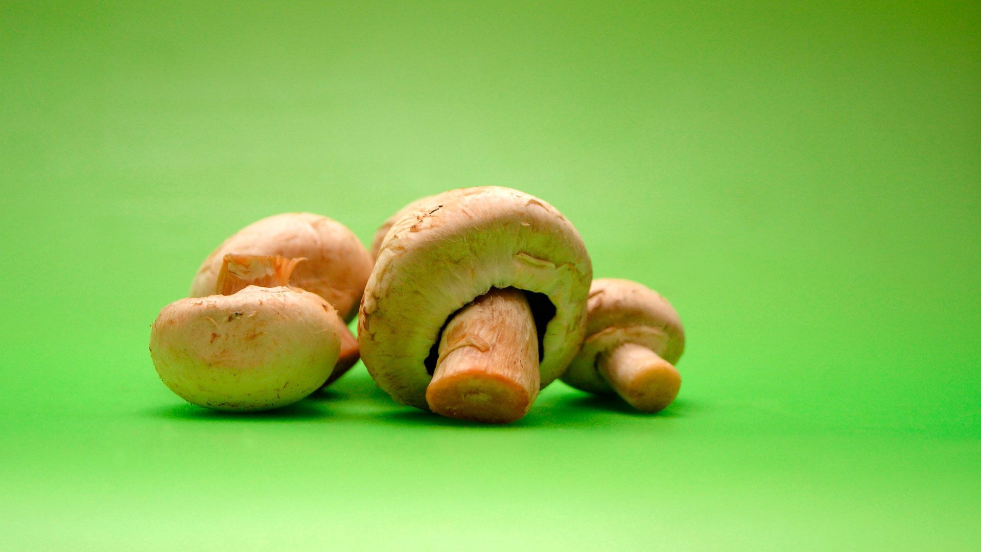 mushrooms, field mushrooms, green