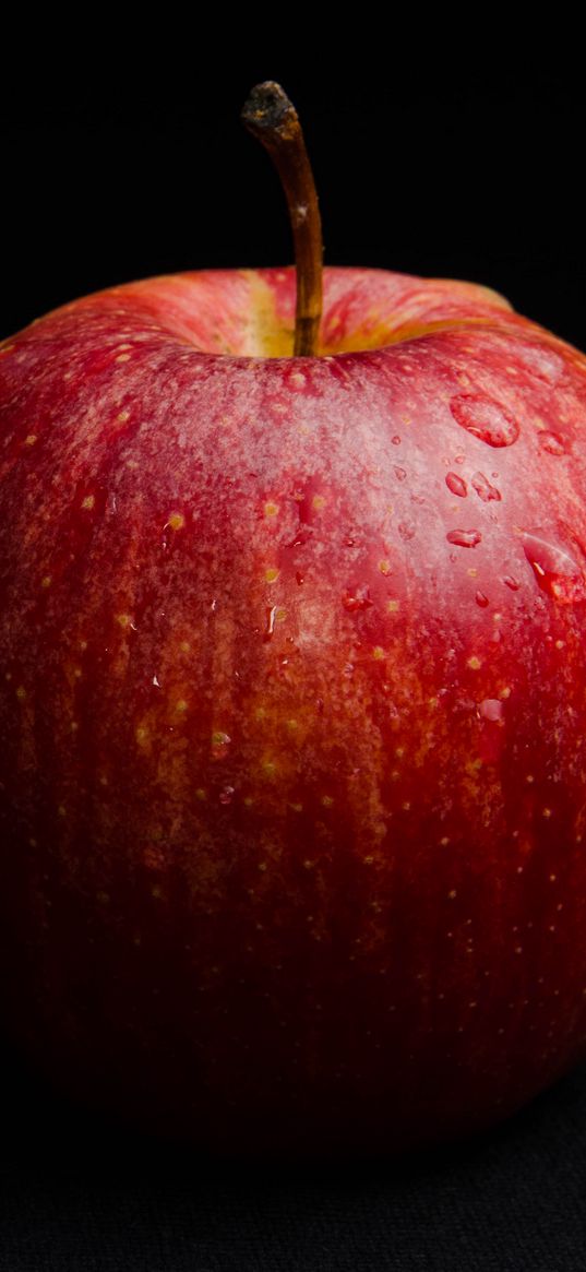 apple, fruit, ripe, drops, macro