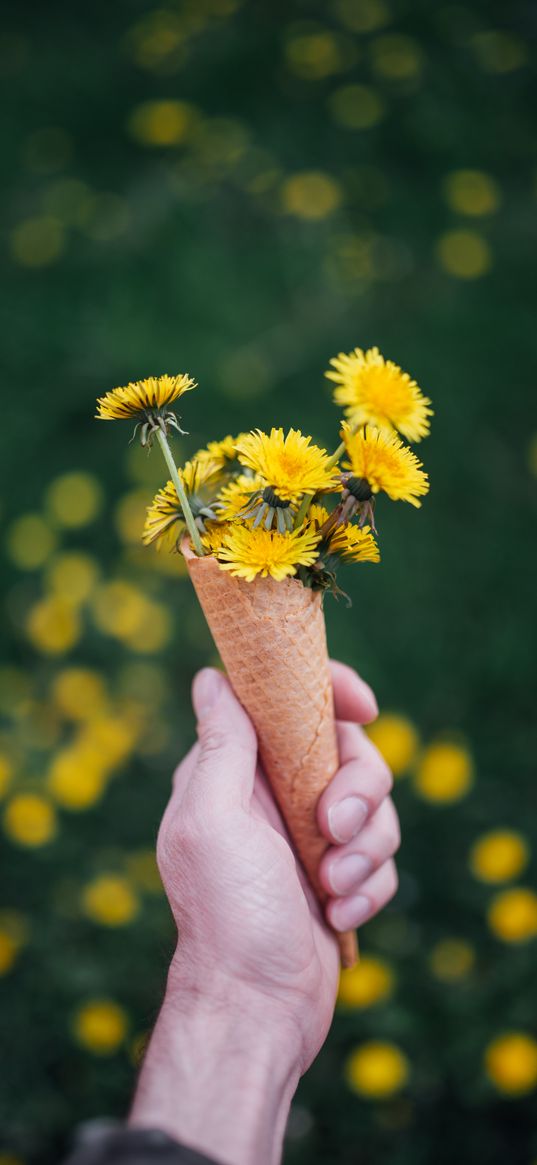 dandelions, flowers, horn, hand