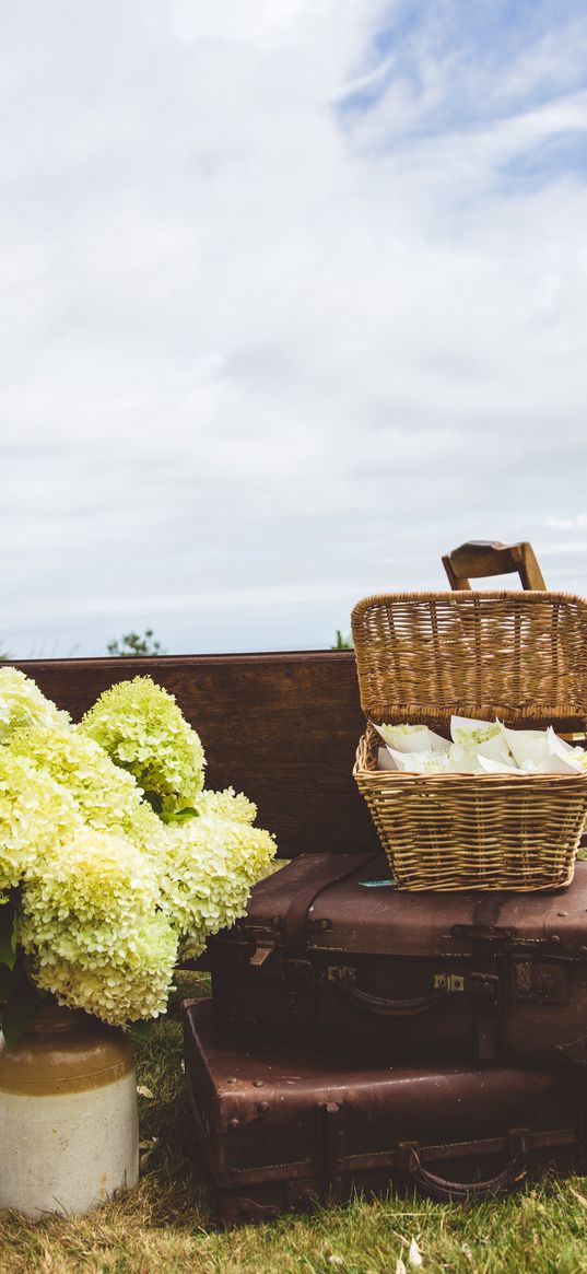 suitcases, basket, bouquet, aesthetics