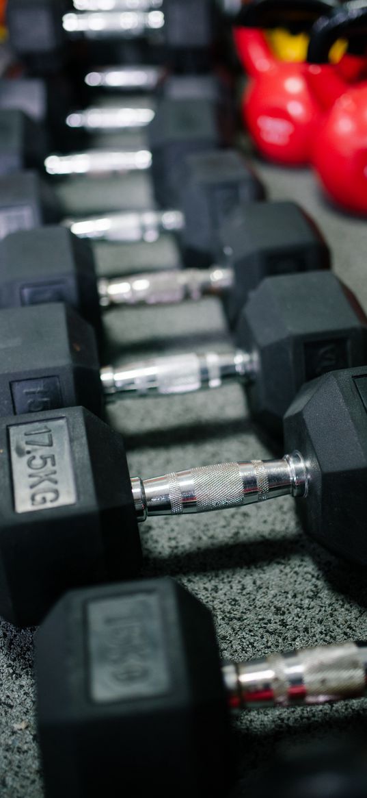 dumbbells, fitness, gym, sport, sports