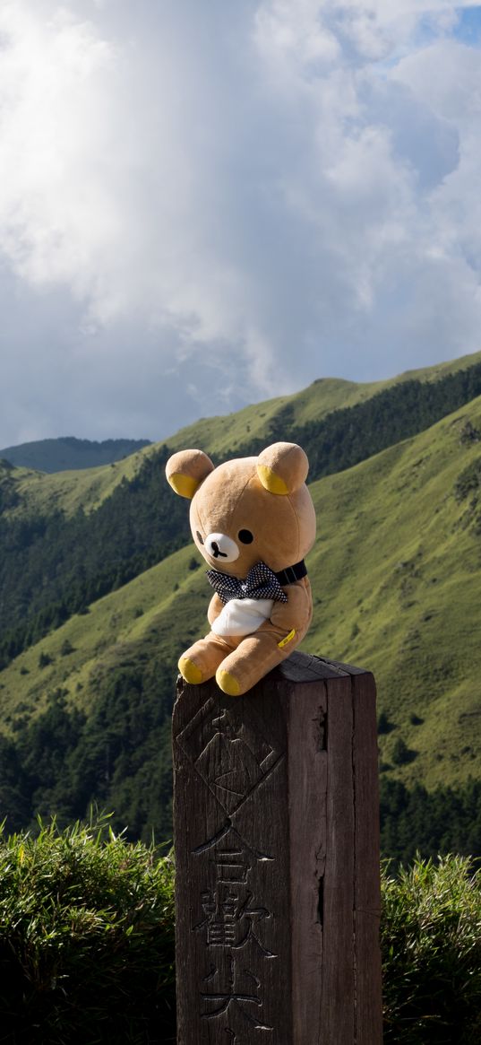 teddy bear, bear, toy, hieroglyphs, mountains