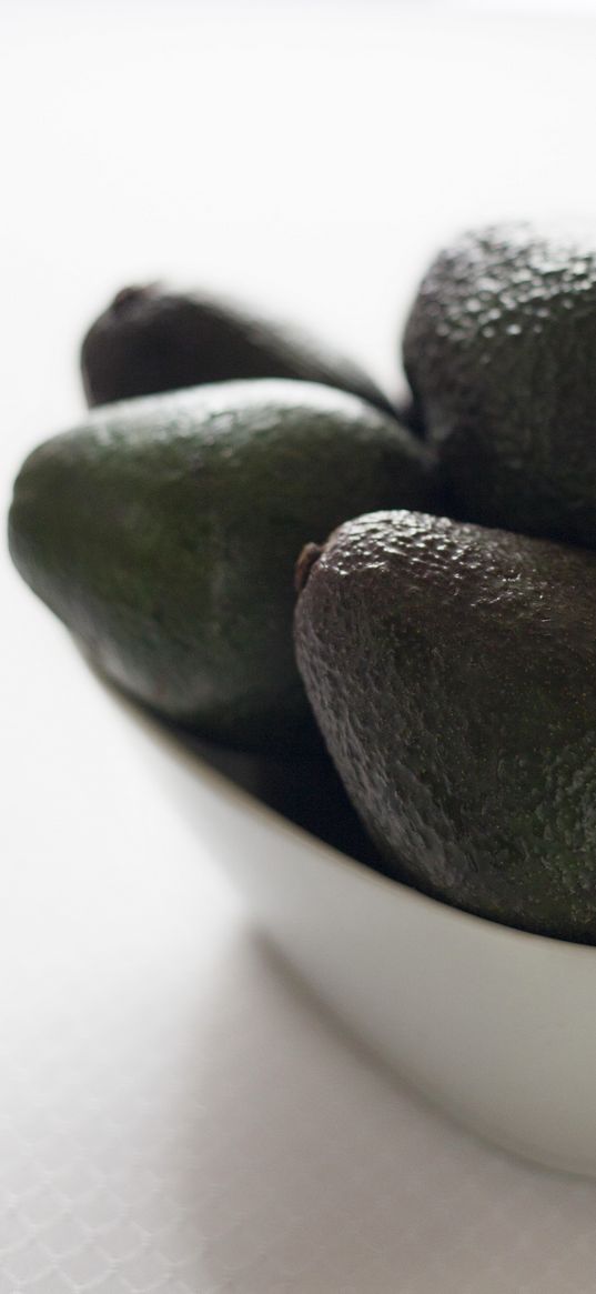 avocado, fruit, bowl